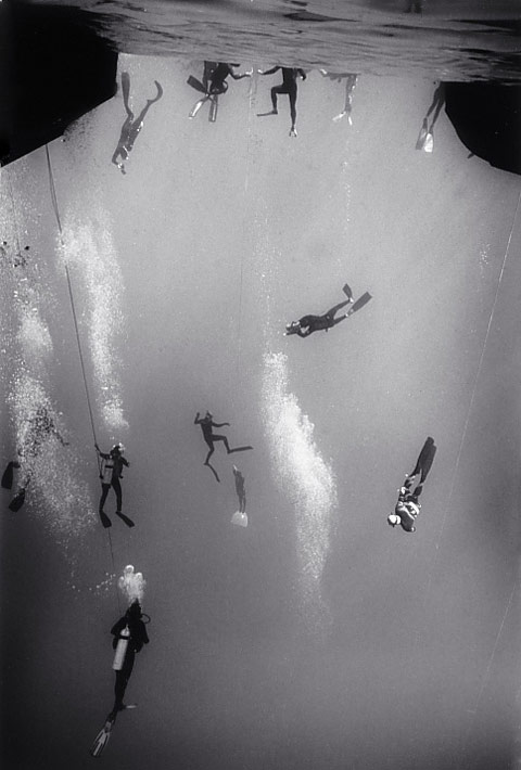 Wayne-Levin underwater photography Wayne-Levin underwater photography