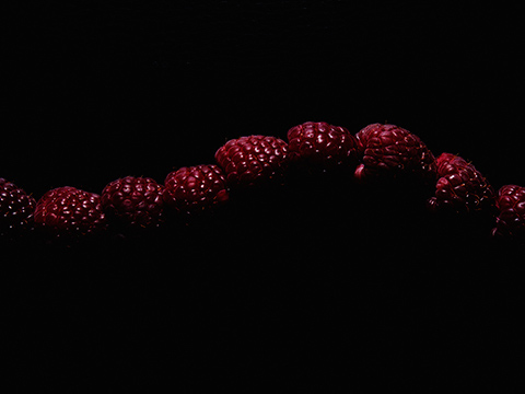 Yuichi_Nishihata_Photography