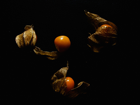 Yuichi_Nishihata_Photography