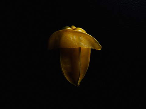 Yuichi_Nishihata_Photography