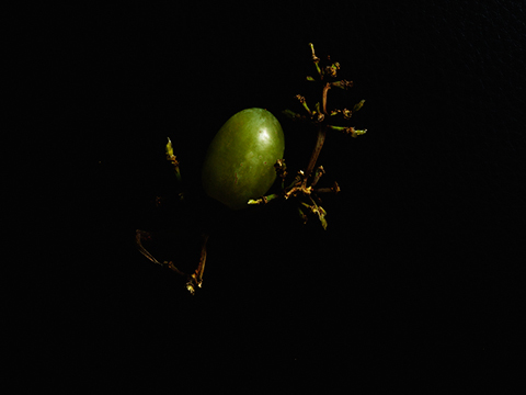 Yuichi_Nishihata_Photography