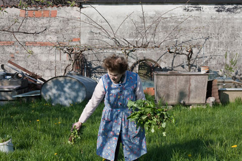 marina_rosso_Photography marina_rosso_Photography