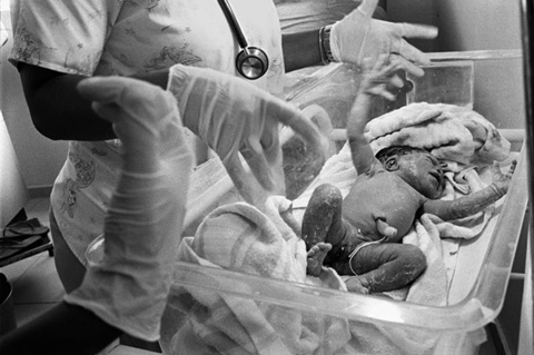 Alice_Proujansky_Photography Alice_Proujansky_Photography
