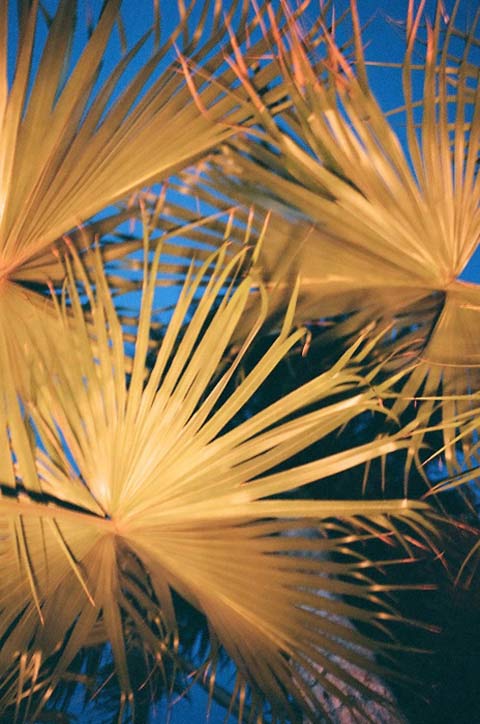 Dan_Alegretto_Photography