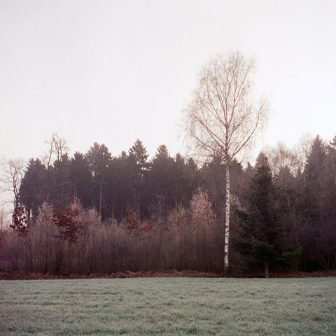 Florian_Reischauer_Photography