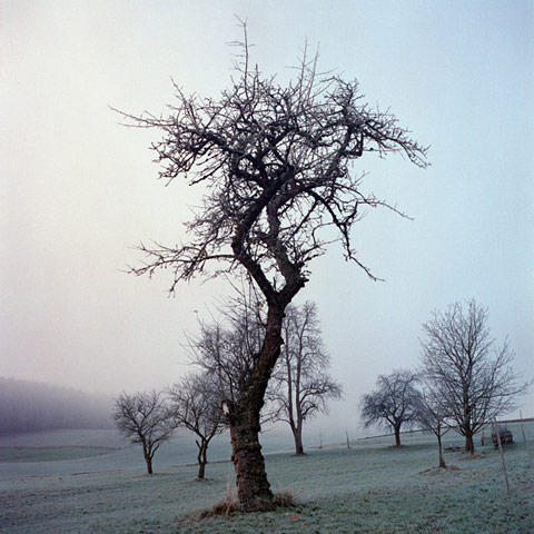 Florian_Reischauer_Photography
