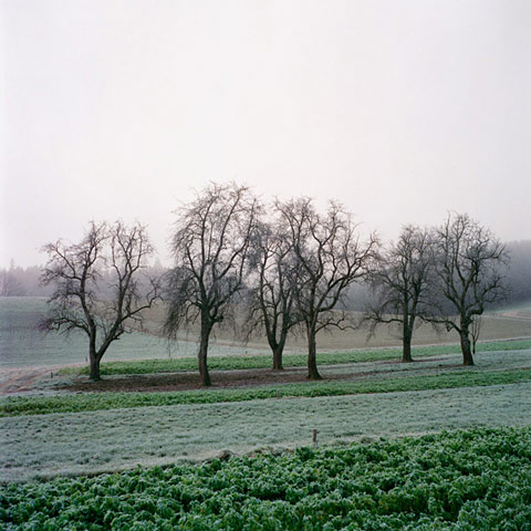 Florian_Reischauer_Photography