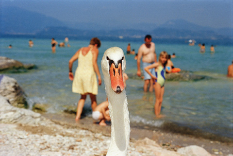 Martin_Parr_Photography