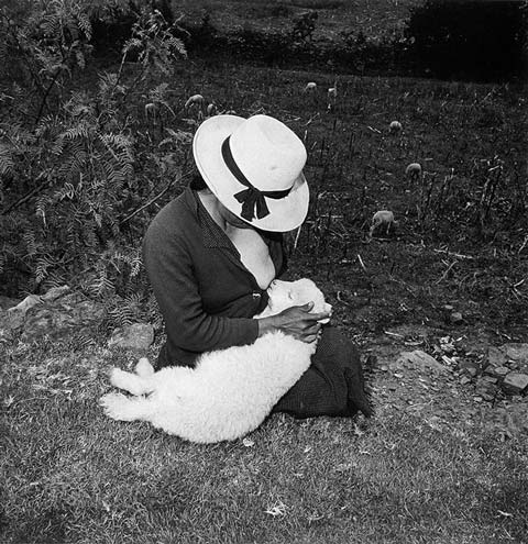 Rosalind_Solomon_Photography Rosalind_Solomon_Photography