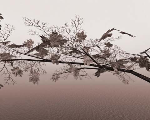 joel_lederer_Photographer joel_lederer_Photographer