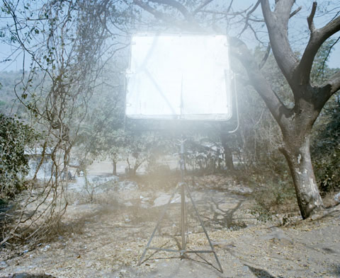 max_pinckers_Photography max_pinckers_Photography