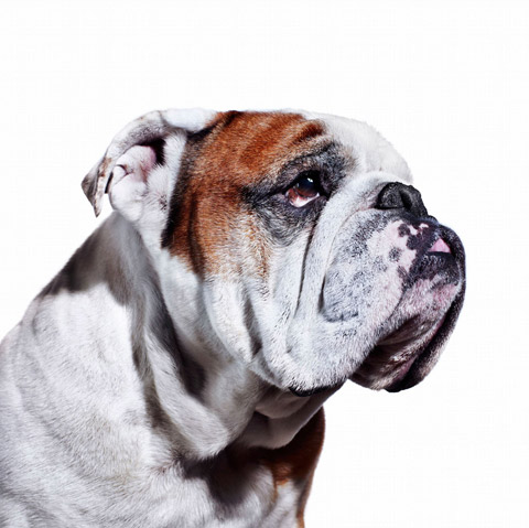 Jamie_Chung_Photography