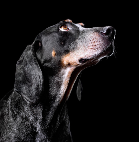 Jamie_Chung_Photography