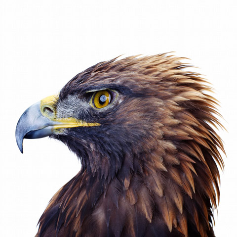 Jamie_Chung_Photography