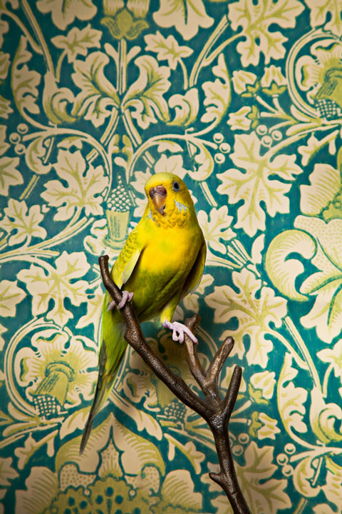 Claire_Rosen_Photography