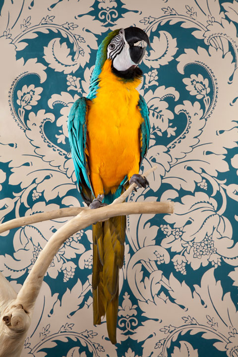 Claire_Rosen_Photography