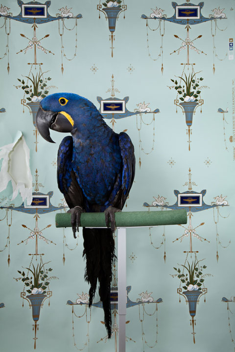 Claire_Rosen_Photography