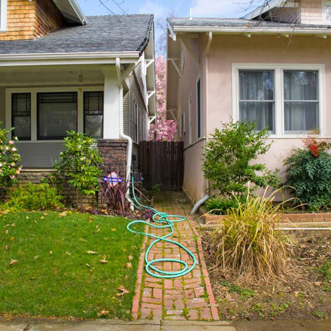 Roberta_Neidigh_Photography Roberta_Neidigh_Photography