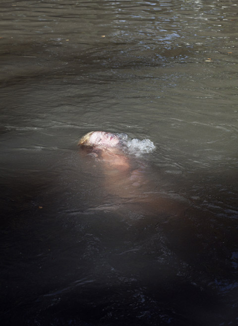 John_peters_Photography John_peters_Photography