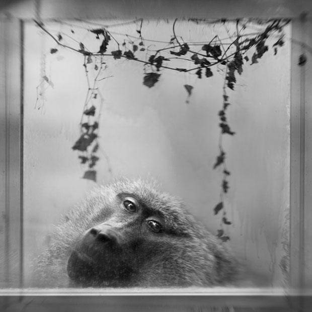 Anne_berry_photography