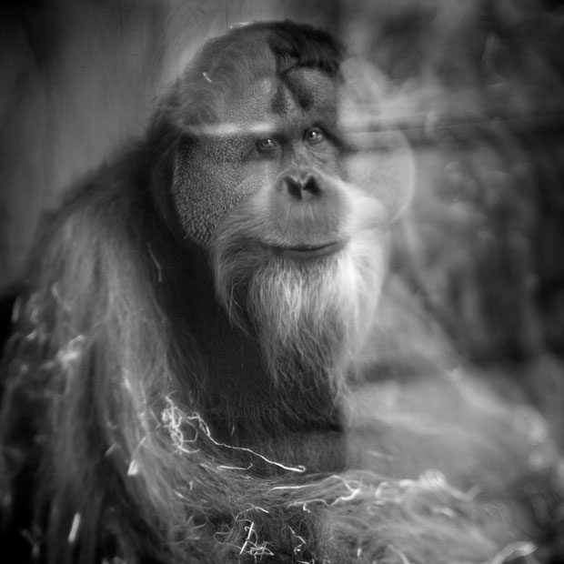 Anne_berry_photography