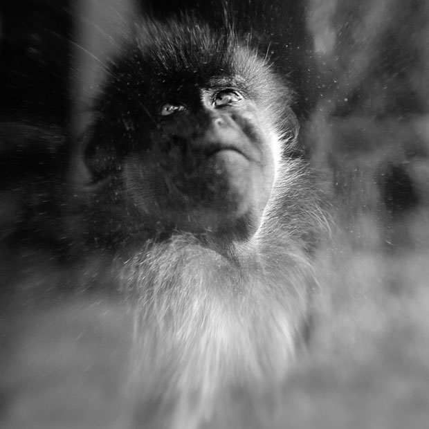 Anne_berry_photography