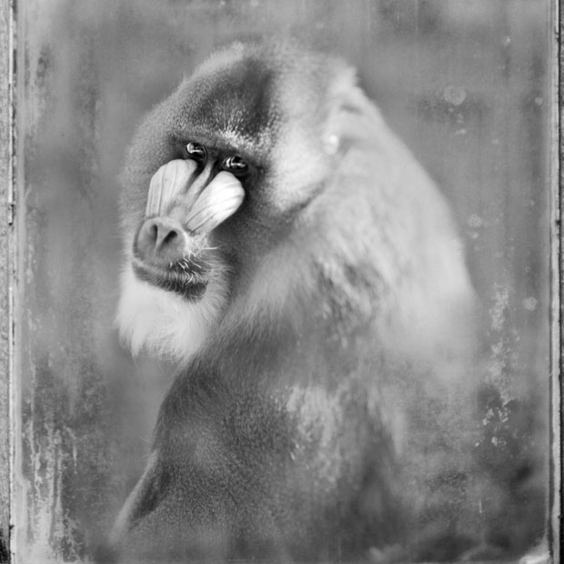 Anne_berry_photography