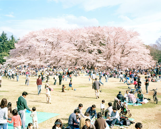 nobuto_osakabe_Photography