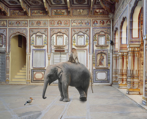Karen Knorr