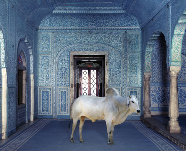 Karen Knorr