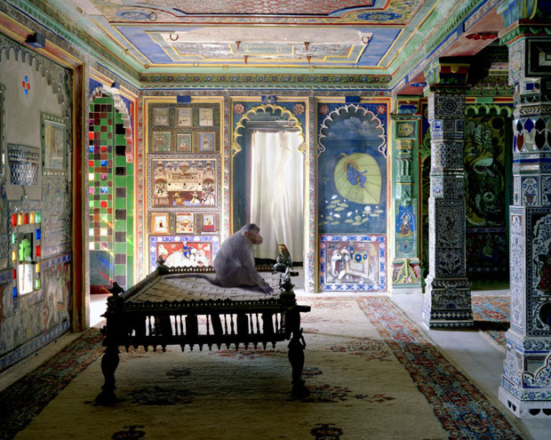 Karen Knorr