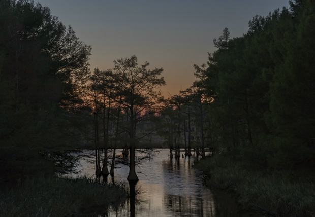 Jeanine_Michna_Bales_02