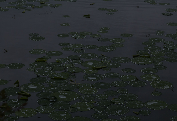 Jeanine_Michna_Bales_05