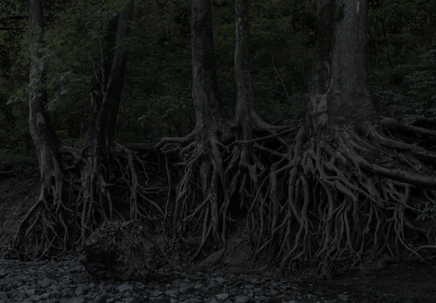 Jeanine_Michna_Bales_09