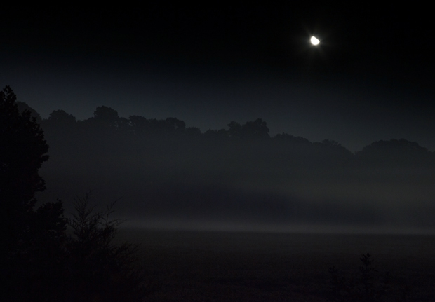 Jeanine_Michna_Bales_12