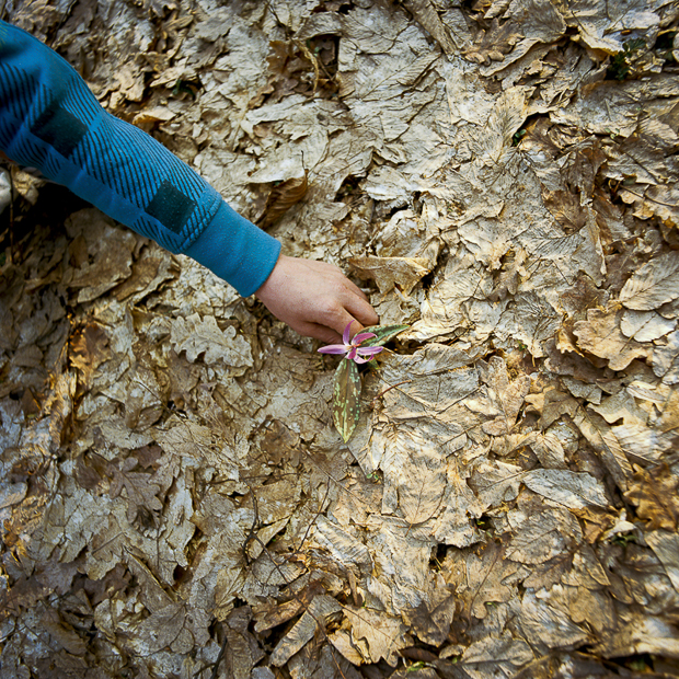 LING_awhereness_FS_02