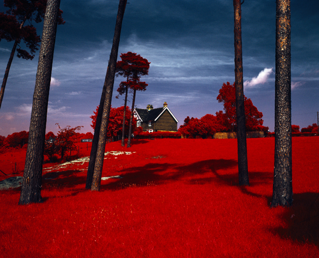 The Village. Photographs on Infrared colour film of Englands most haunted village. A few trees that still remain from where Parkwood used to be and where the Colonel hung himself.