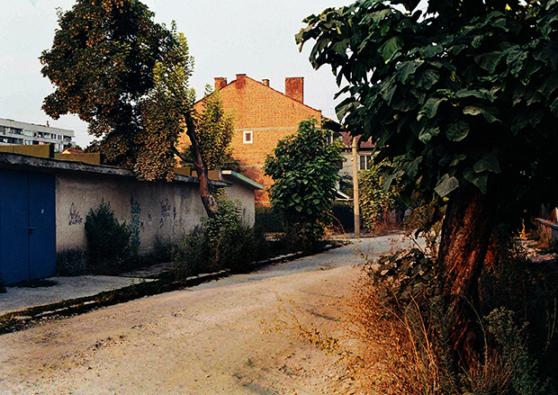 denislav_stoychev_01