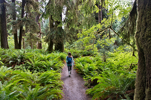 Hiking_127108