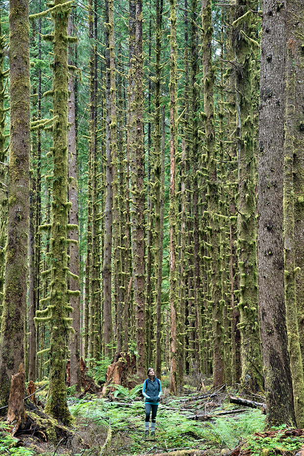 Hiking_127109
