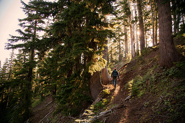 Hiking_150382
