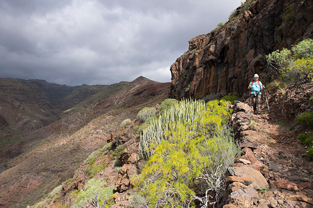 Hiking_189145