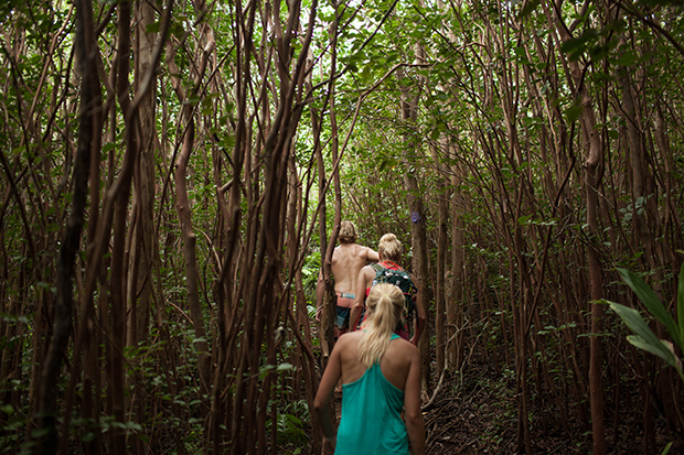 Hiking_202438