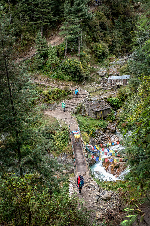 Hiking_207997