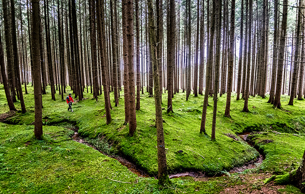Hiking_210399