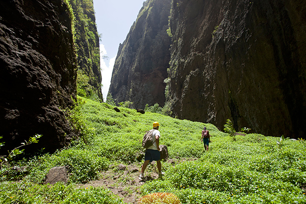 Hiking_215936