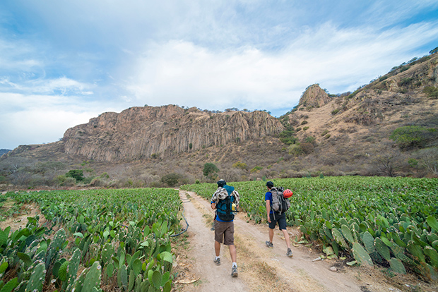 Hiking_95712