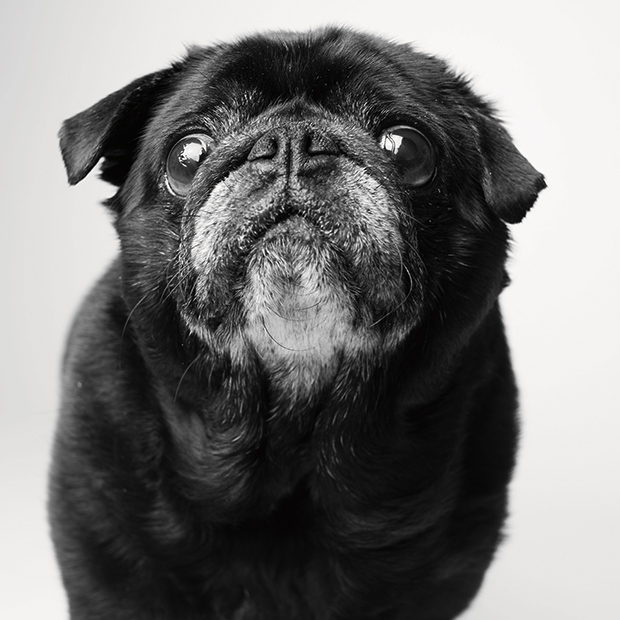 Fred_10years