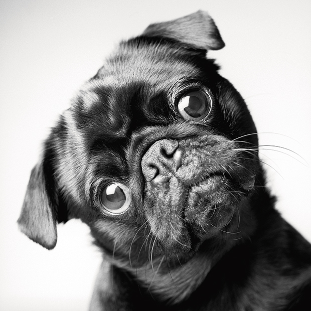 Fred_2years