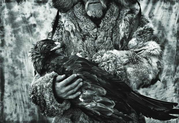 Hunting with Eagles